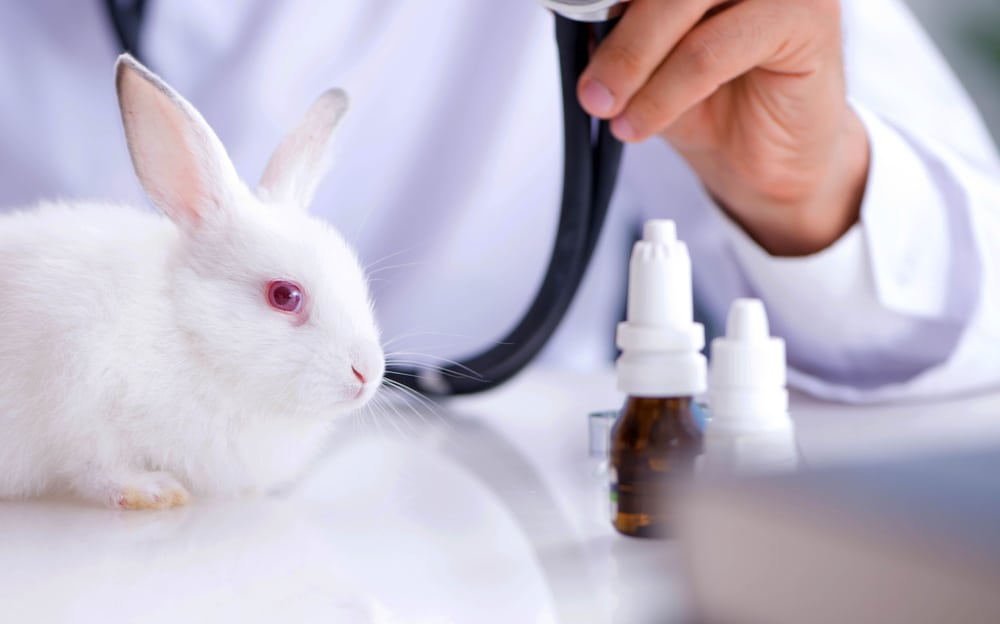 shutterstock 1905746329 - Palm Care Pharmacy
